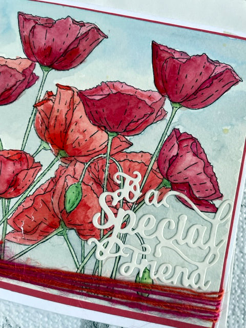 Special Friend Any Occasion Card