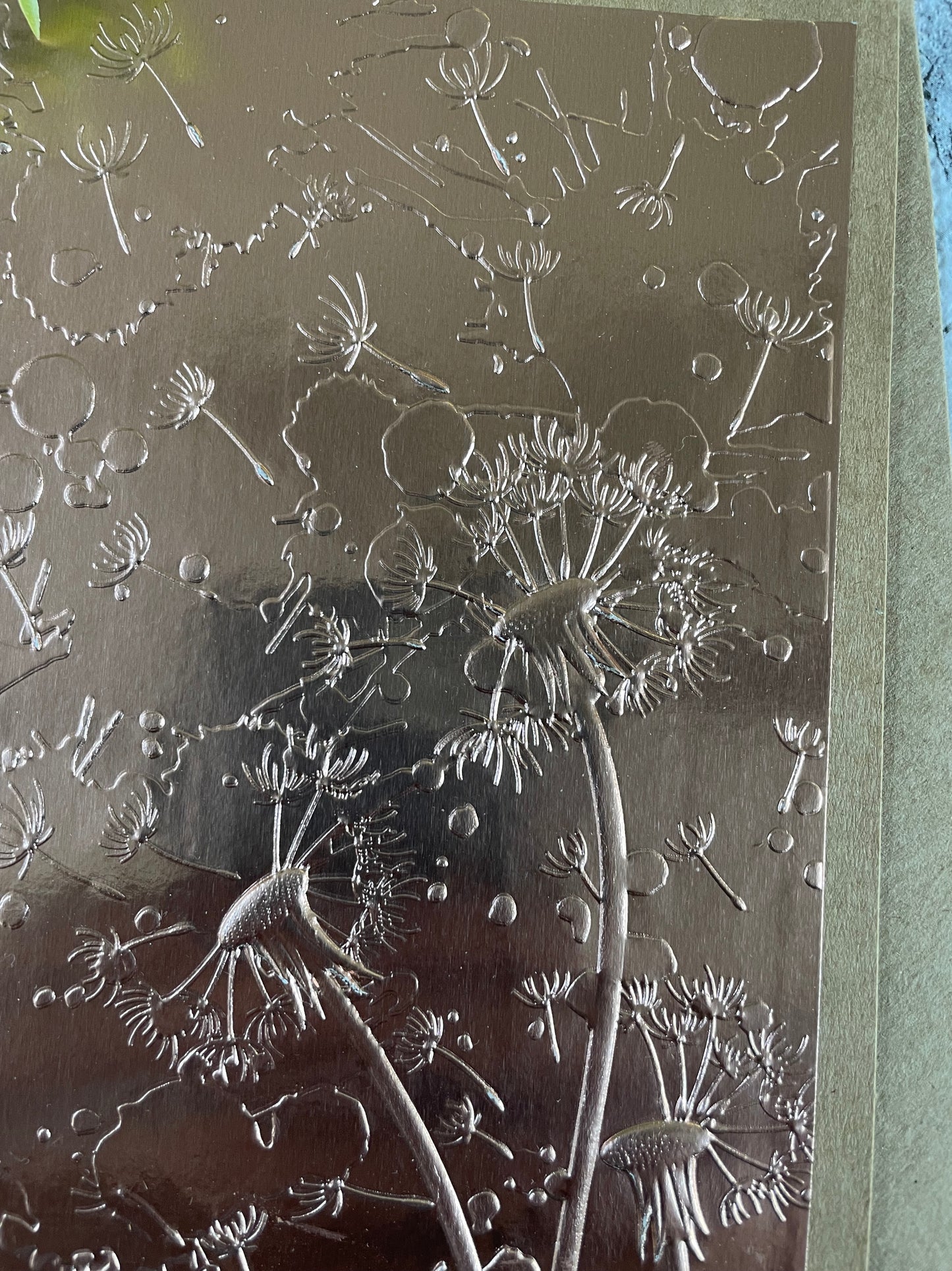 Dandelions in Flight