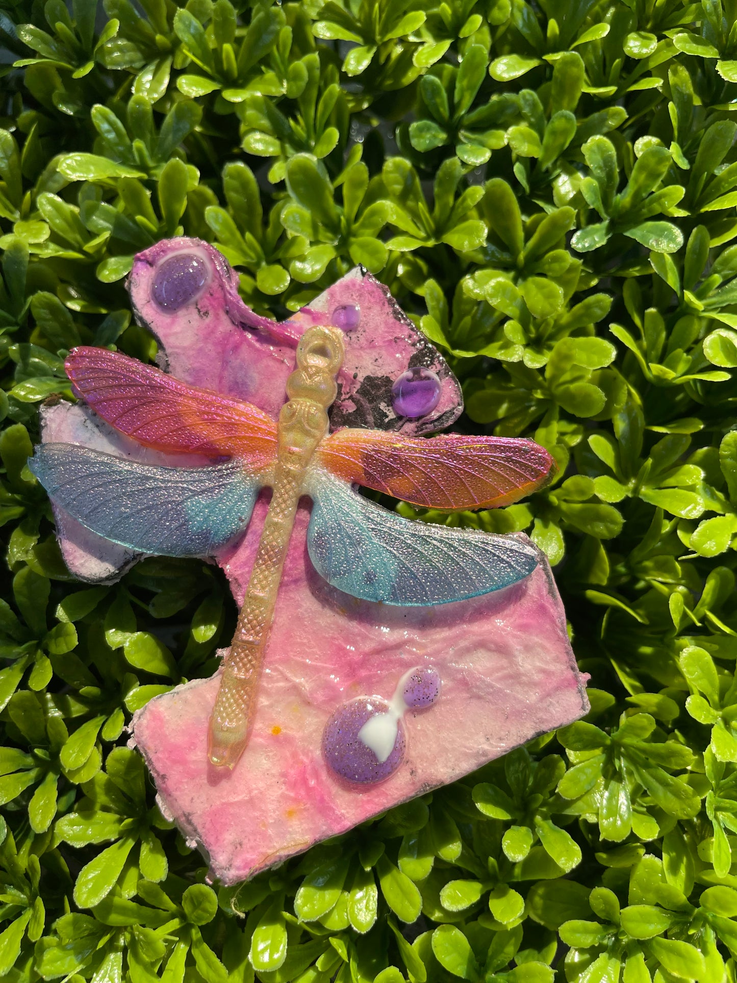 Dragonfly on Pink - Mixed Media Magnet