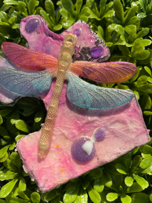 Dragonfly on Pink - Mixed Media Magnet